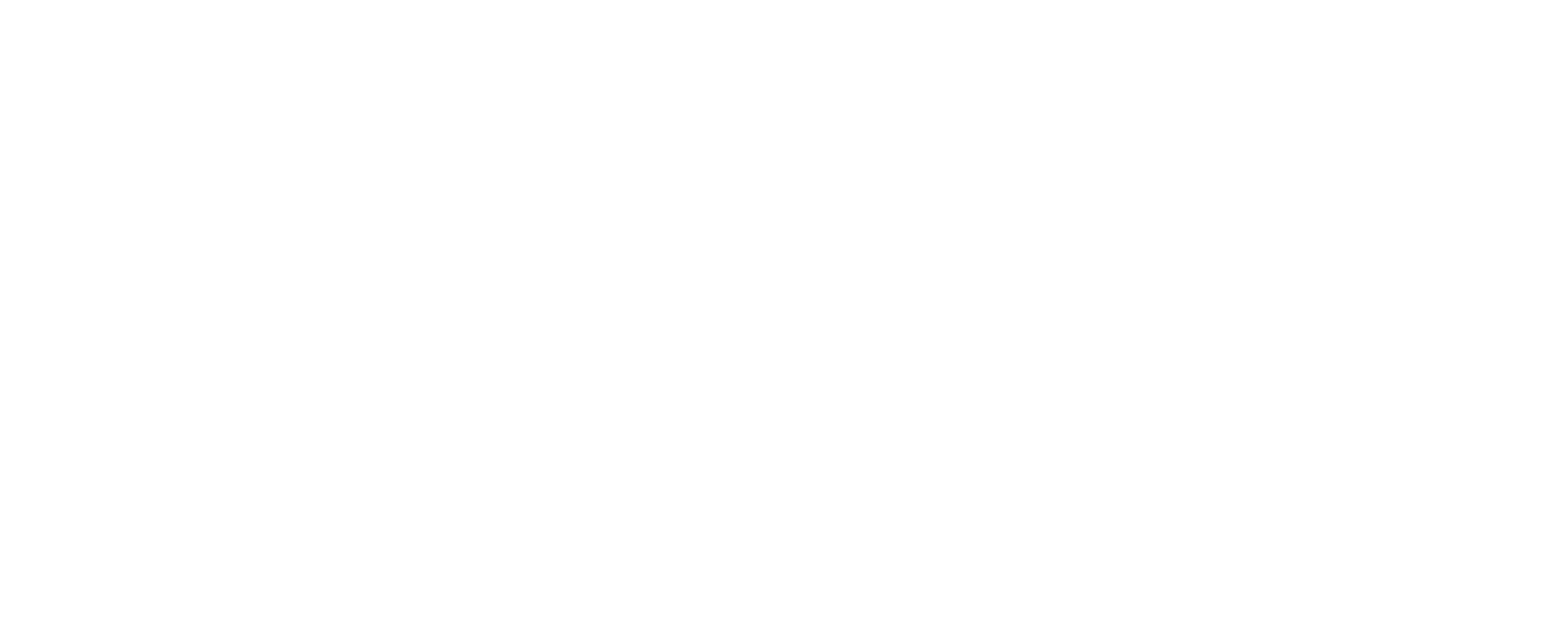 CAPULI SCHOOL logo